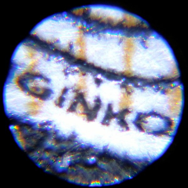 250倍のスコープ買った
オモチャ屋の安いヤツだから全然見えないかと思ってたけど普通に使えて凄い
でも使い道無い