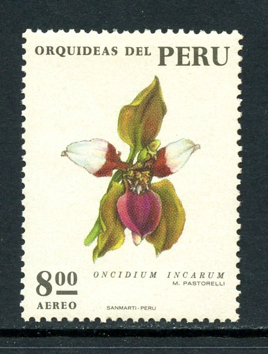 Philatelovely's tweet image. A most Pleasant Philatelic afternoon to you all. It’s the letter P in the a-z of Flowers on Stamps. Here’s my Pair, Please share yours too.

Peru 🇵🇪 
Poppy 

#stampcollecting #philately #stamps