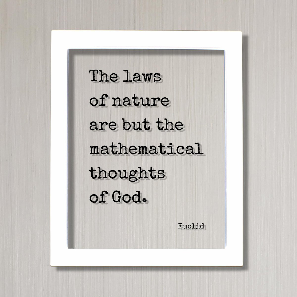 Ivy Leek 🦊 tweet media