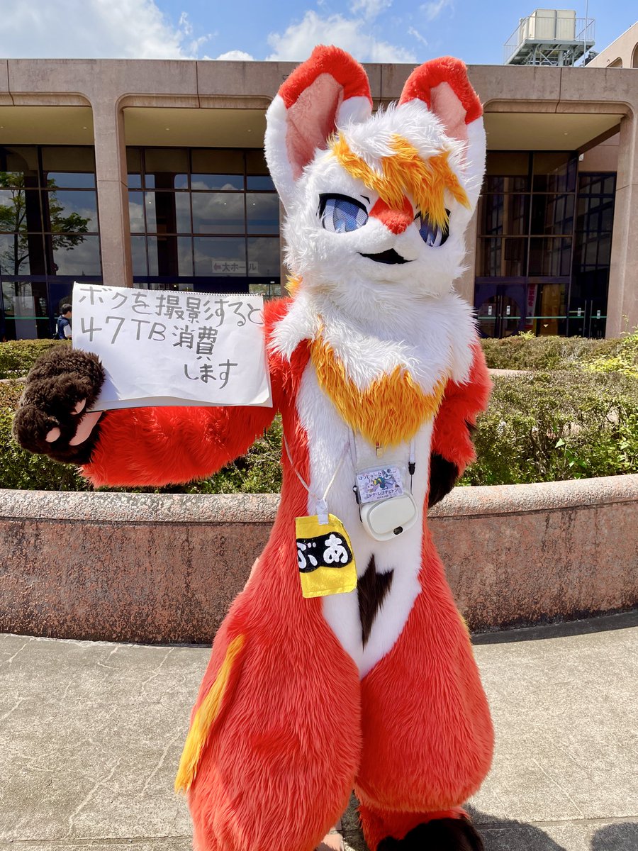 ハムちゃん tweet media