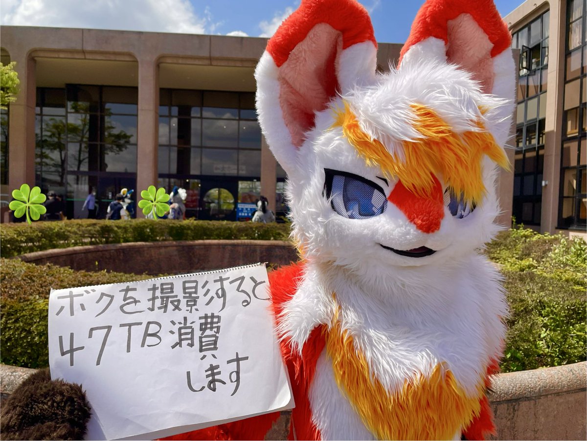 ハムちゃん tweet media