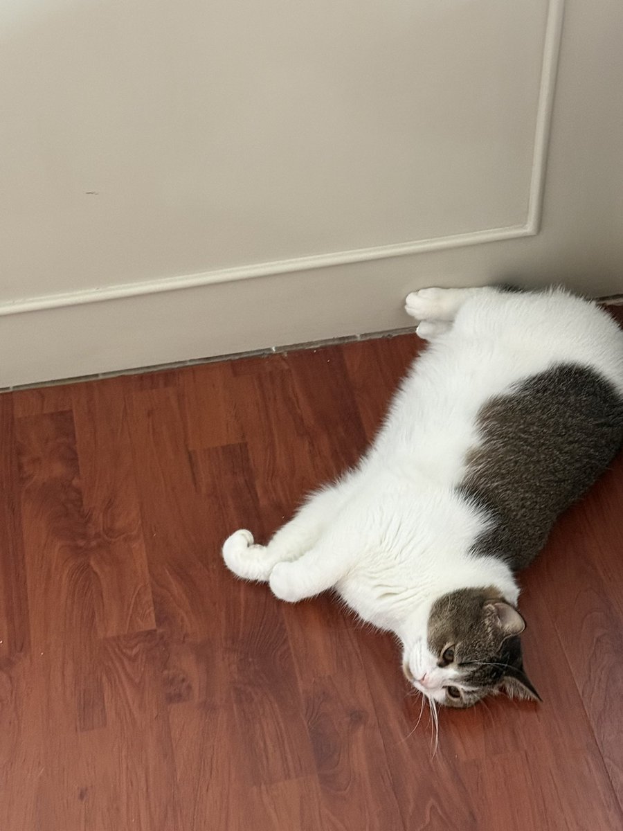 ฟ.ฟร้านซ์ tweet media