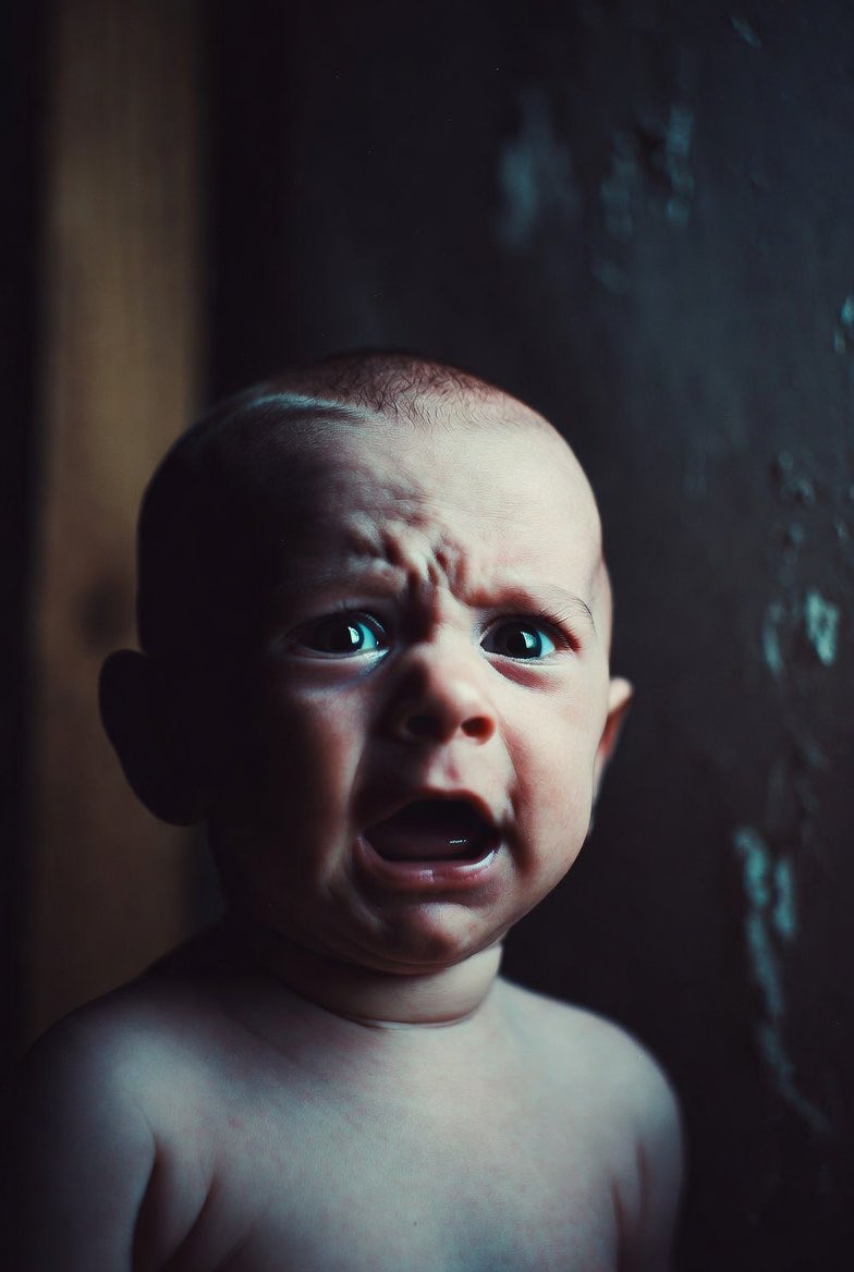 まるこめ。 tweet media