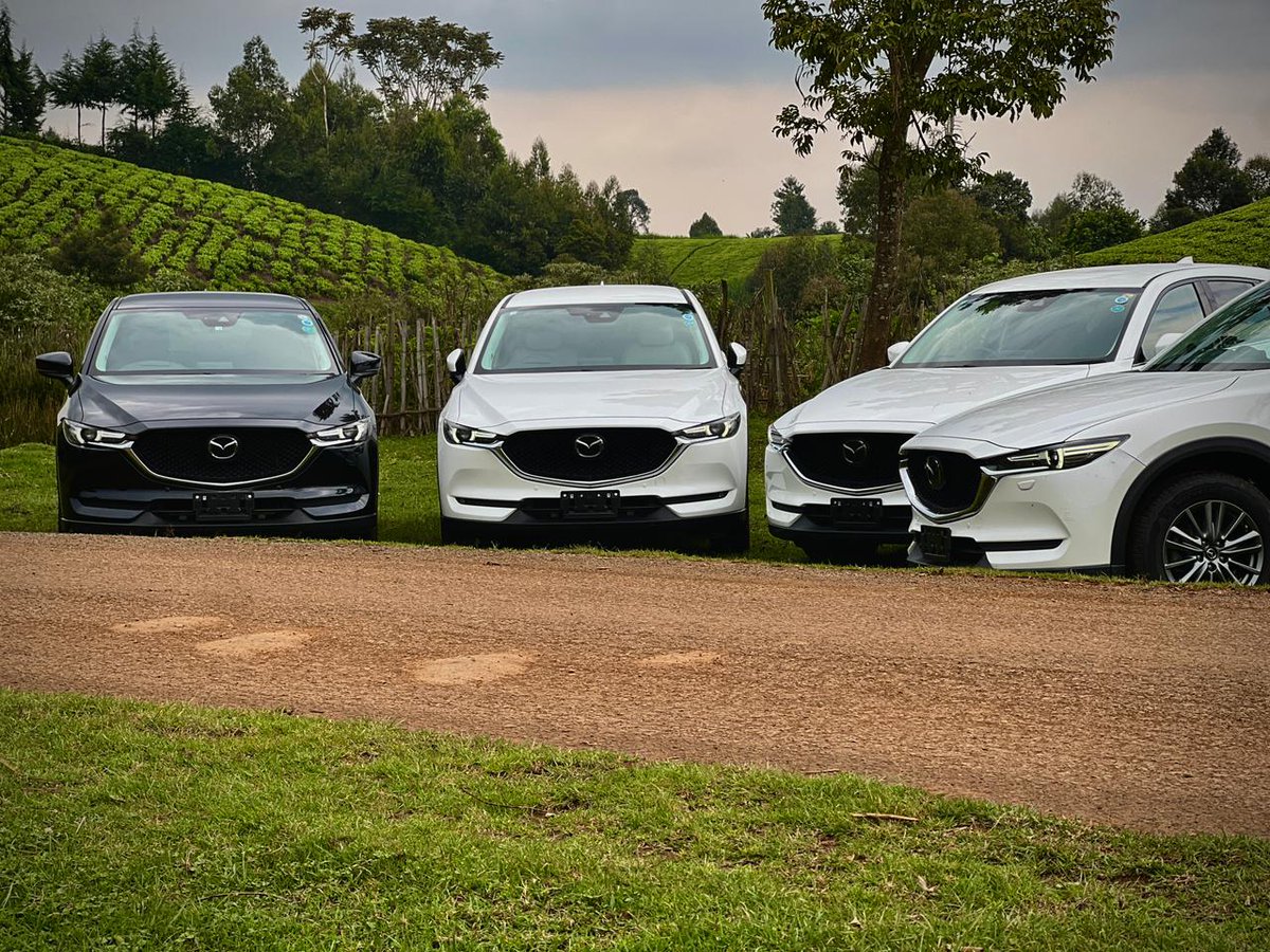 High caloried babe tweet media