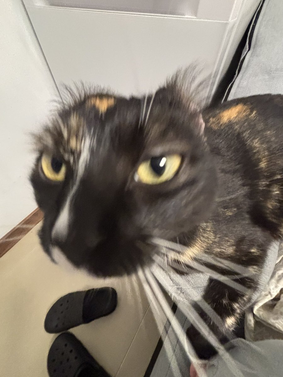 Crictifk tweet media