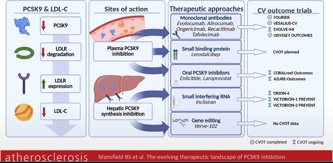 LipidoSEEN tweet media
