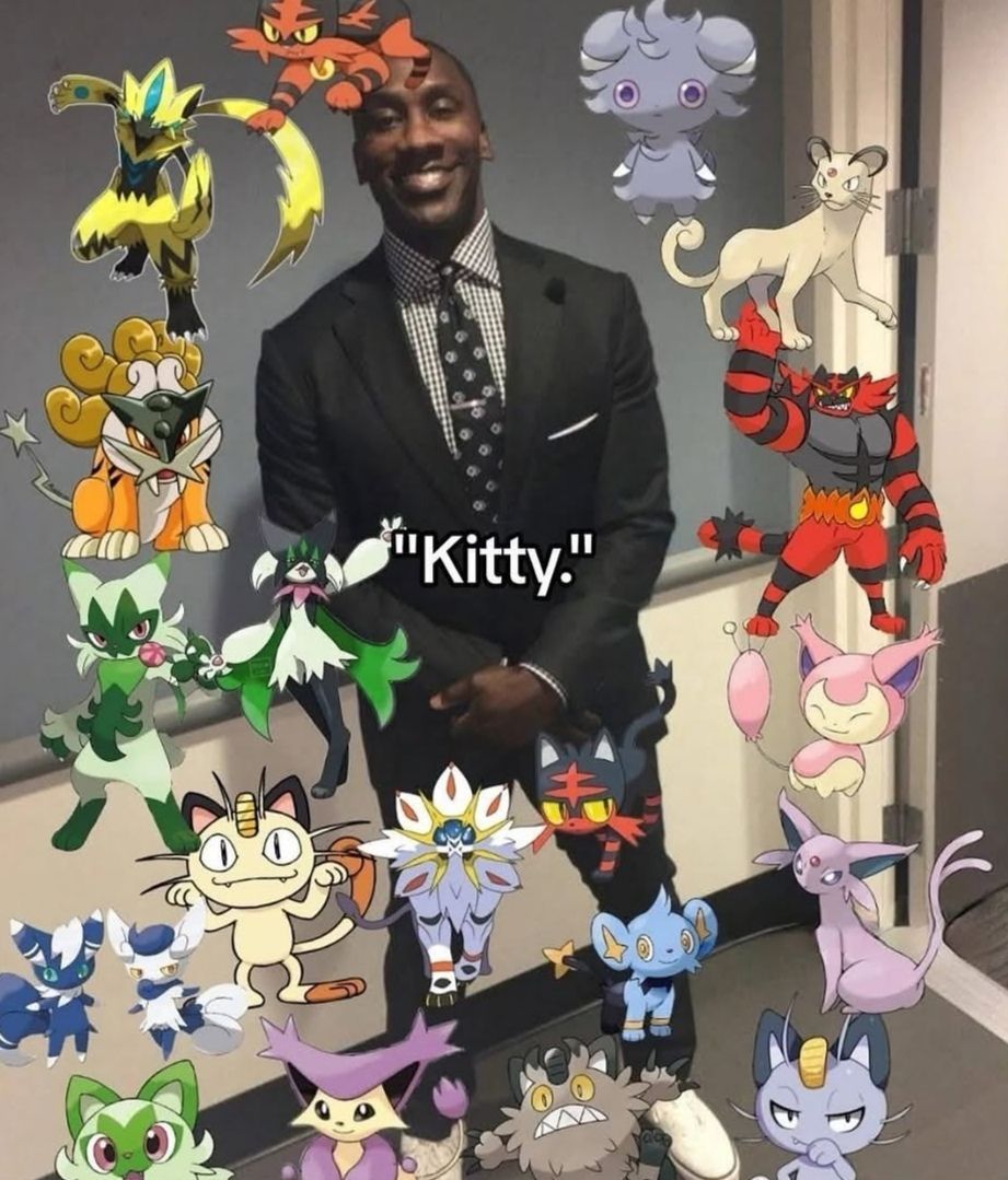 Pokémon Daily tweet media