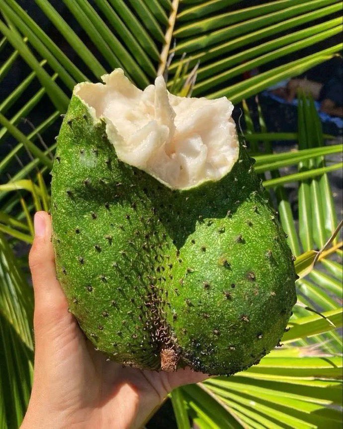 Enugu Ezechiteoke tweet media