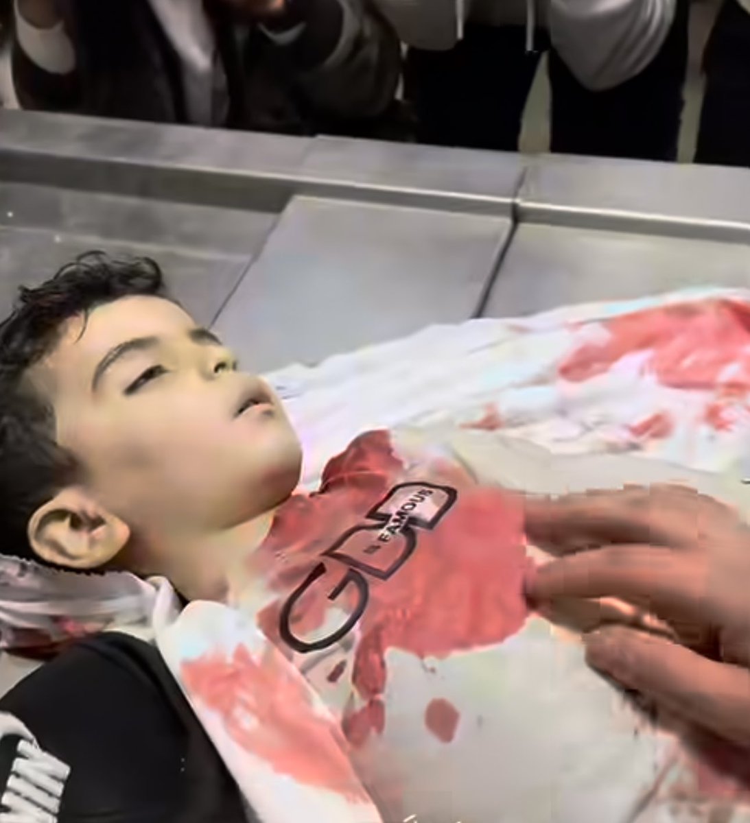 Mahmoud.b.shalha محمود شلحة tweet media