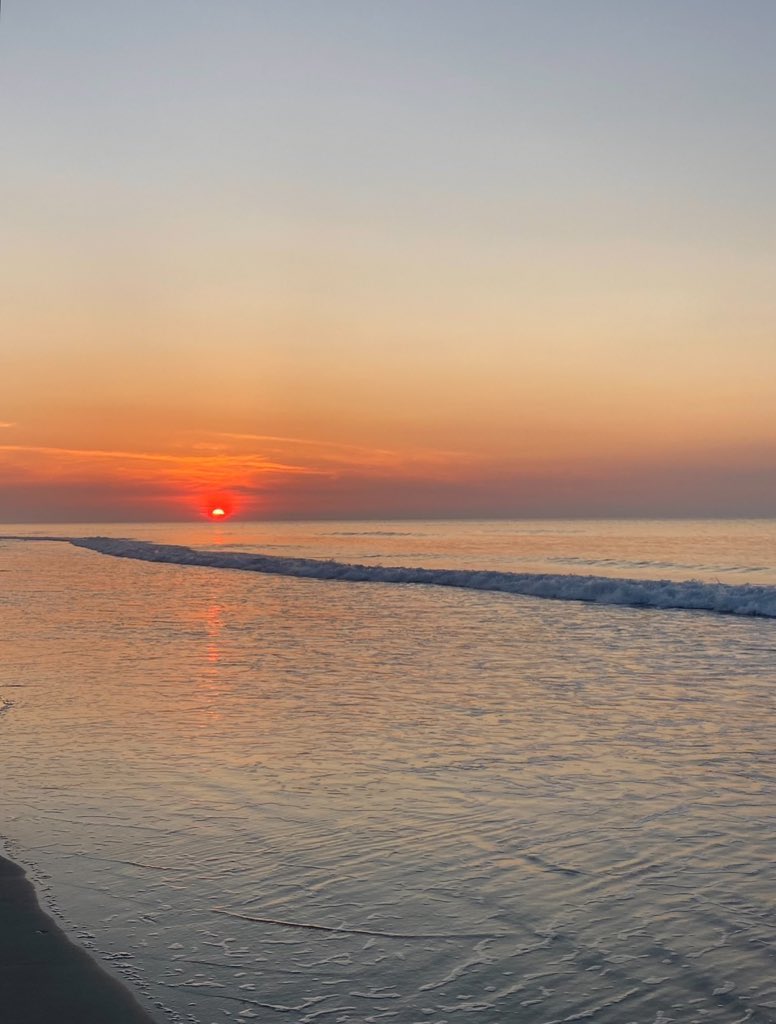 Brooks 🌊🏀 tweet media