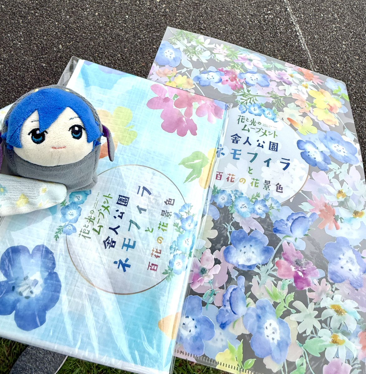 アンケート答えたらクリアファイル！お花以外が透けててデザインかっこいい！
抽選箱で当たってレジャーシートももらったよ😆
都民税少しリターンされたw