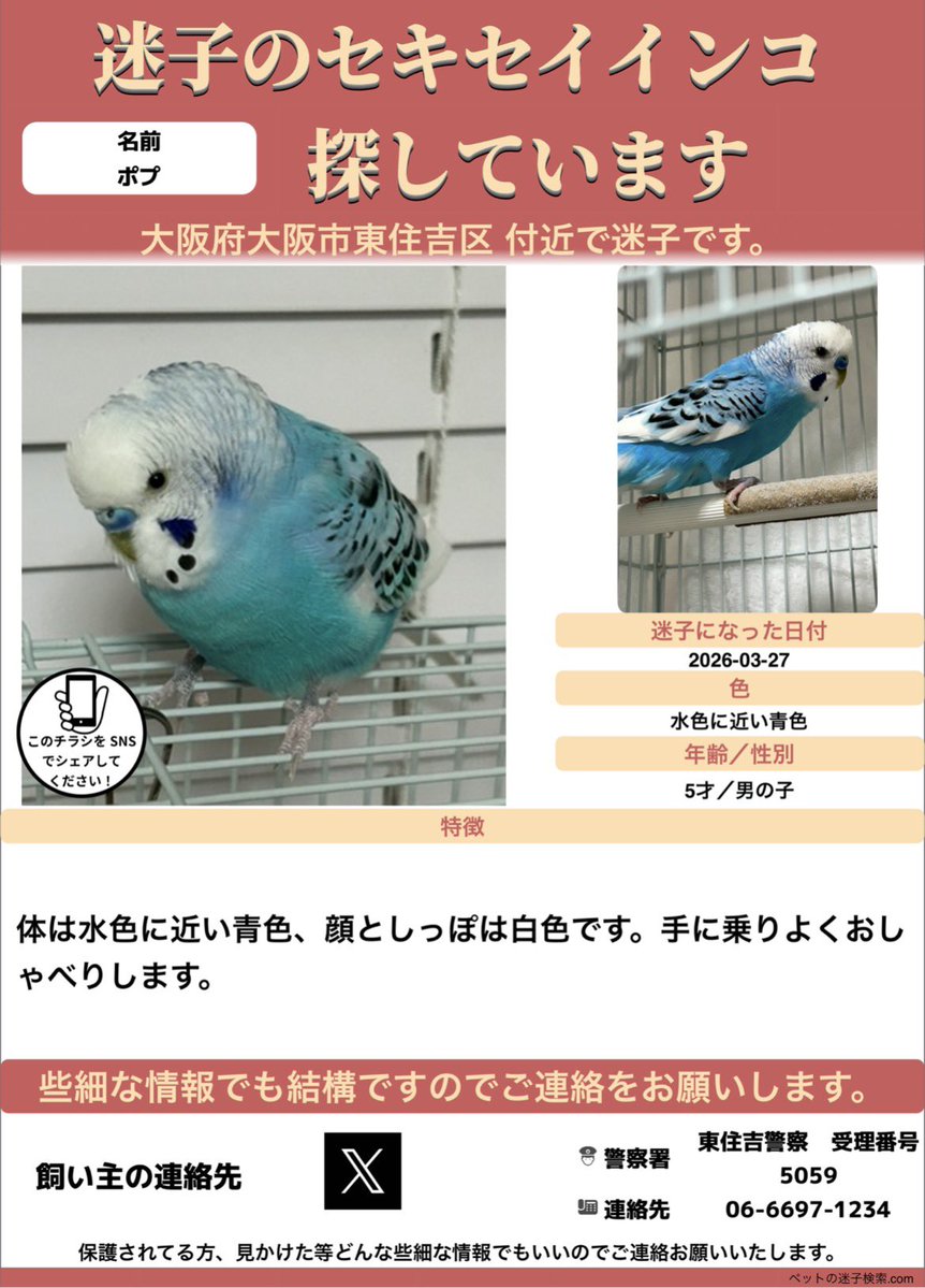 ペコ tweet media
