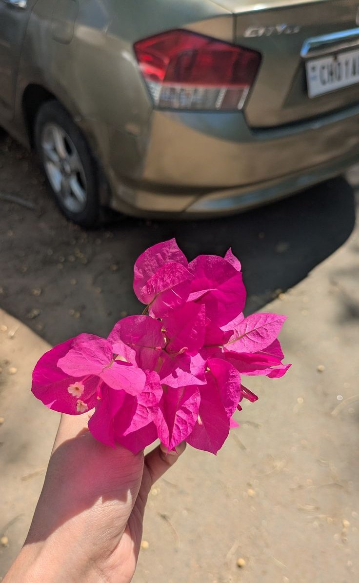 UrSaathii's tweet photo. कभी-कभी ज़िंदगी थोड़ा slow down हो जाती है
क्योंकि शायद हमें थोड़ा और मज़बूत बनना होता है।
और सच कहूँ तो जो चीज़ें हमें आसानी से मिल जाती हैं
वो कहानी नहीं बनती ़़

बस यादें ही बन कर रह जाती हैं ।।।। https://t.co/3NjguNWyEG