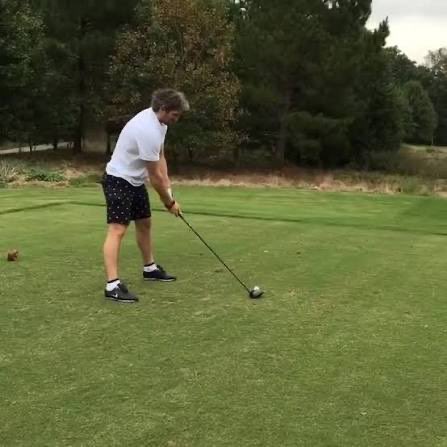 Young Gritty tweet media