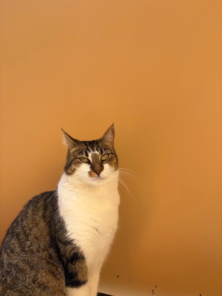 Nuevo Espacio CECE tweet media