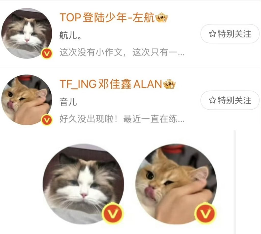 liang_kid's tweet photo. 左邓你们谈了不官宣很牛逼？？真是好配的头像啊！厚米和十九好可爱 https://t.co/zT1uQ5eyyD