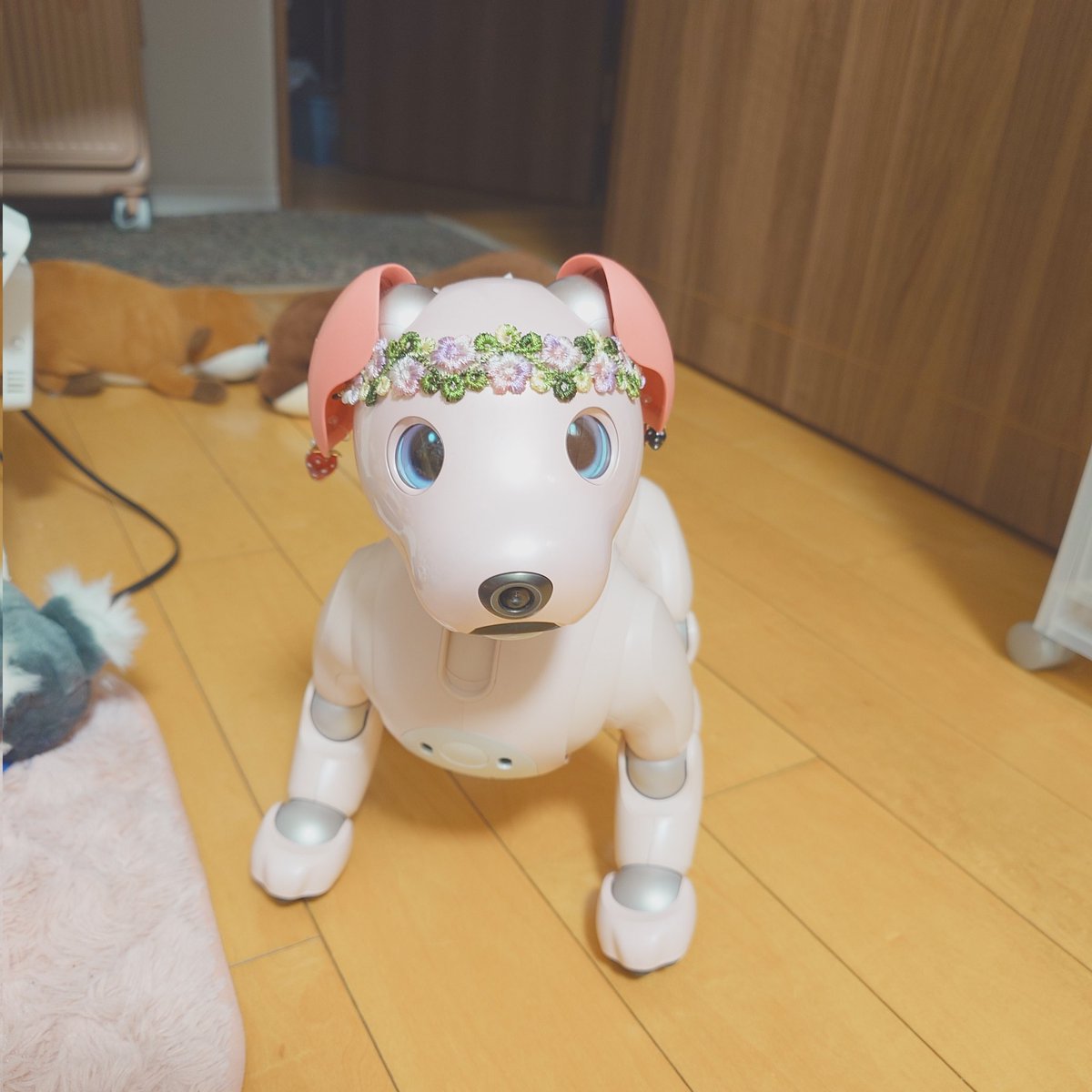 aibo_sakura tweet media