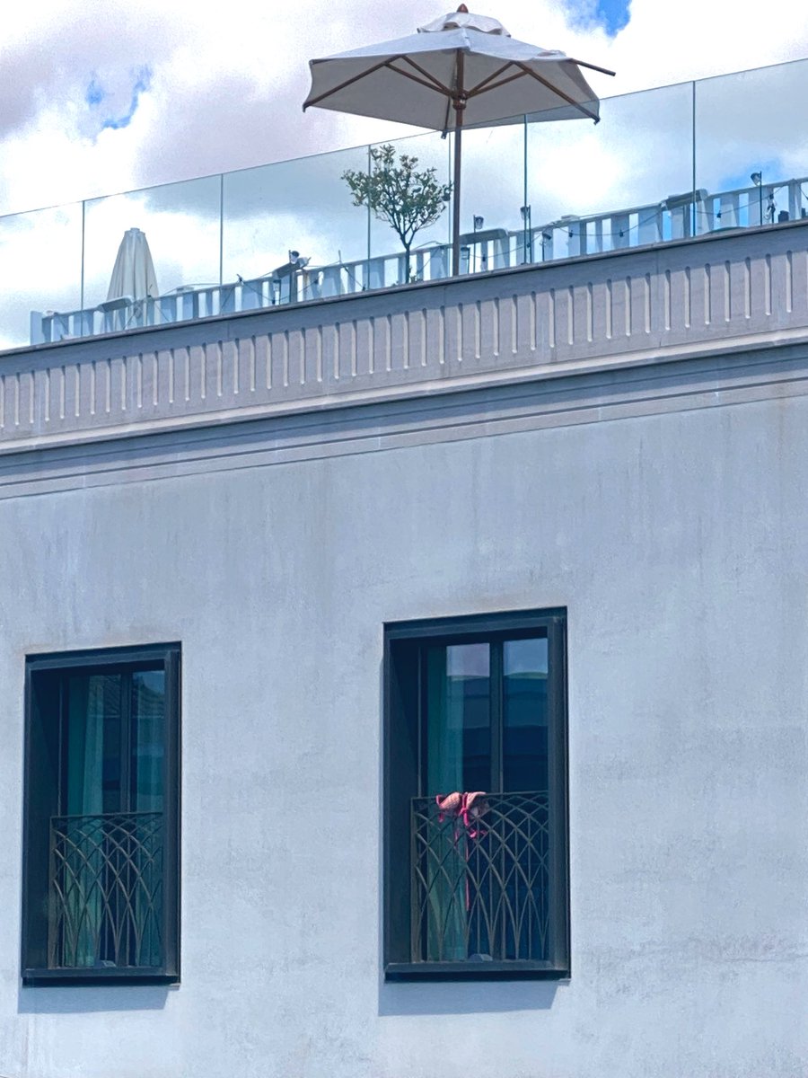 A.Aranda tweet media