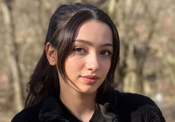 Open Source Intel tweet media