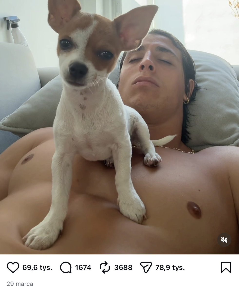 Chlor 🗿 tweet media