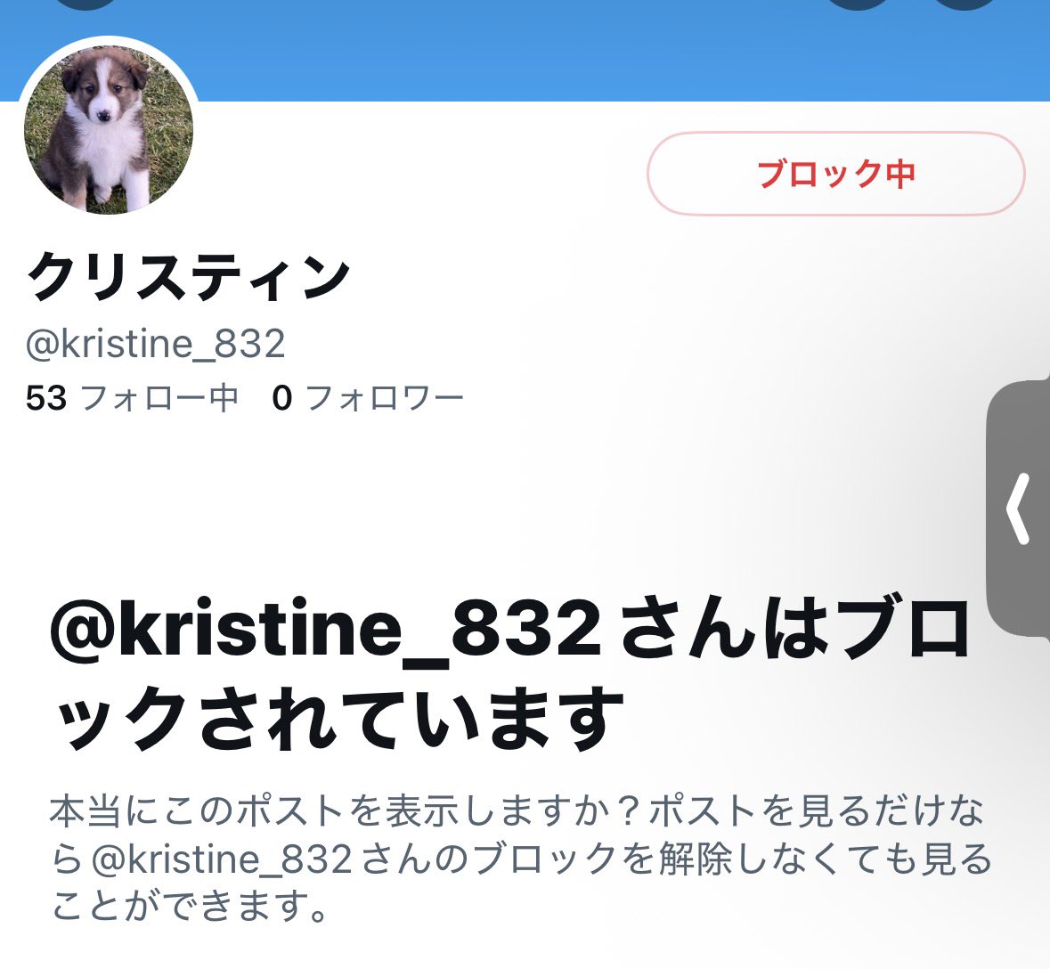 まい tweet media