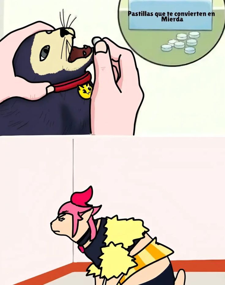 melodiebs2005's tweet image. xd ese juan carlos kit dado su pastilla anti rrabia y mi entra melodie mi vieja we melodie mira cara rara xd
#brawlstars #kit #melodie #memes