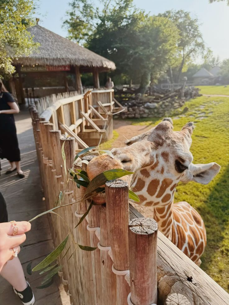 𝑪orinn𝒆 ִ ࣪𖤐 tweet media