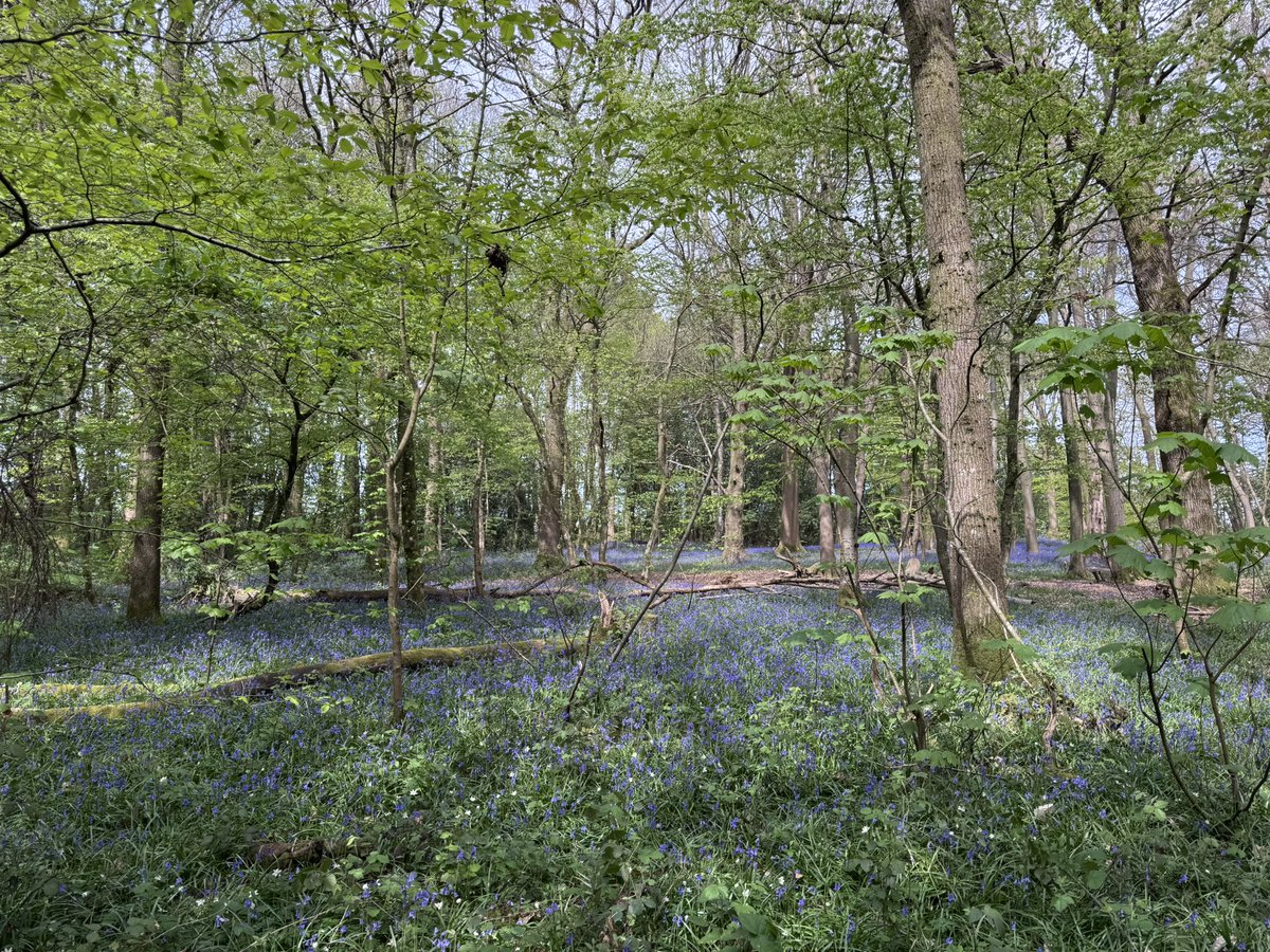 James Haddow tweet media