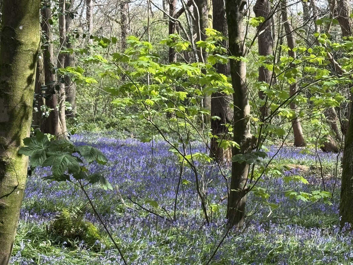 James Haddow tweet media