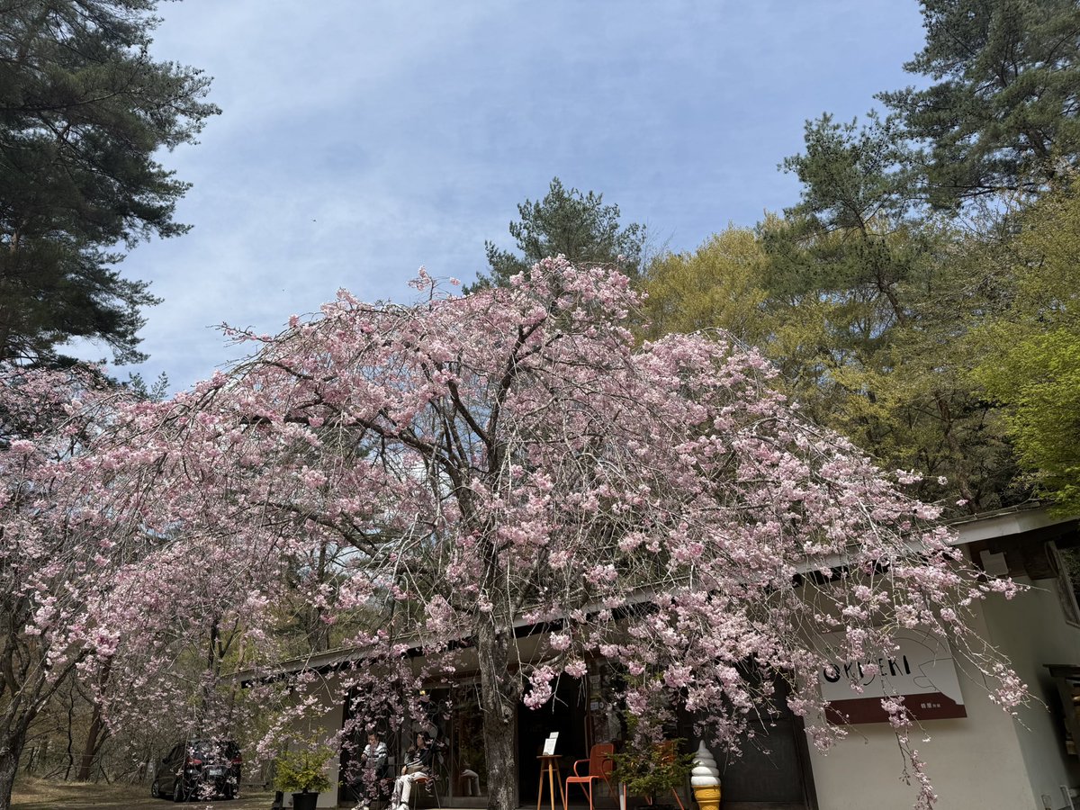 西川 淳/Jun Nishikawa tweet media