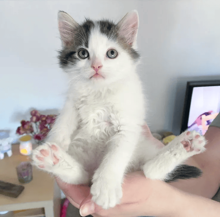 Jemma McDonald tweet media