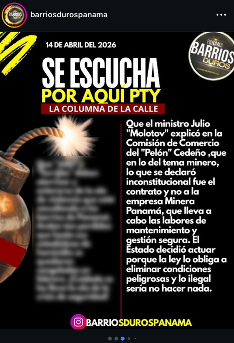 El Loro De Panamá Es Verde tweet media