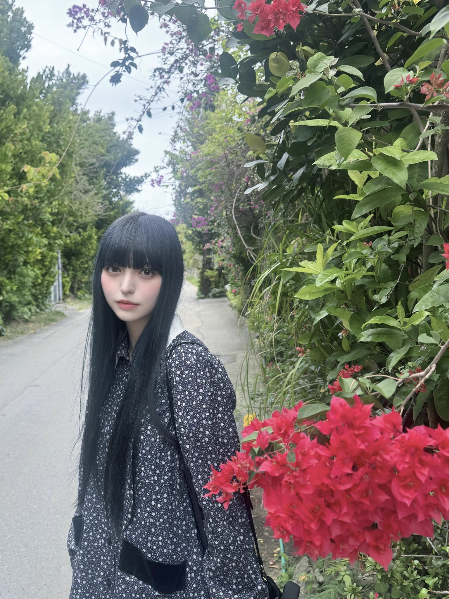 多屋来夢 (@raimu_taya) / X