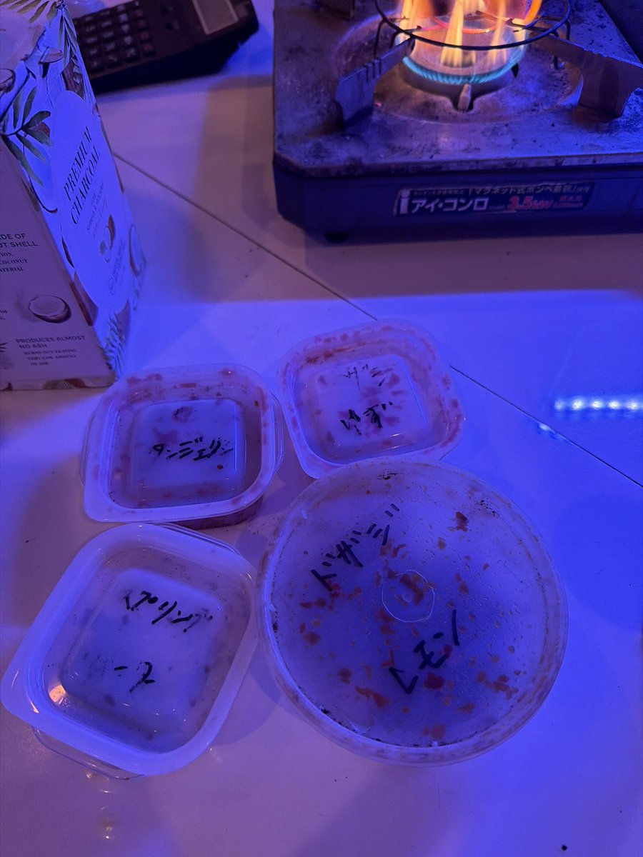 きの。 🍋 tweet media