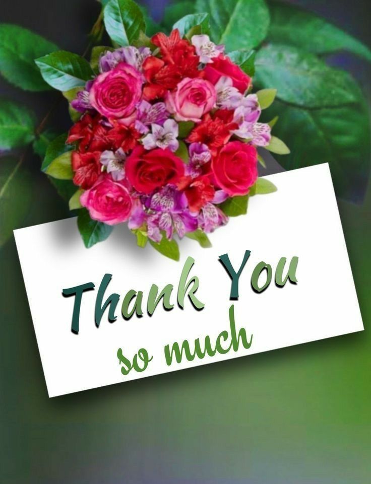 Sam🥷🌷💐 tweet media
