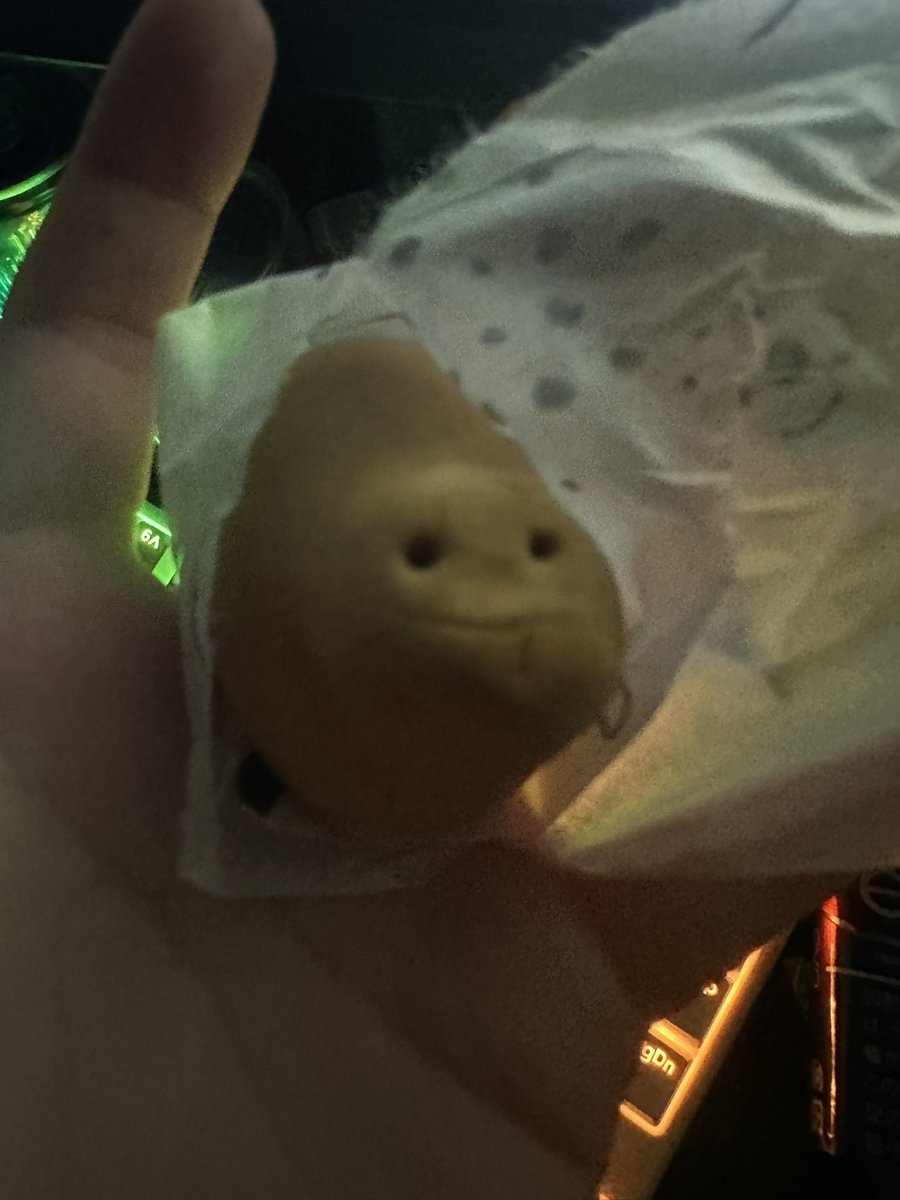 ふぃじかるよぞら tweet media