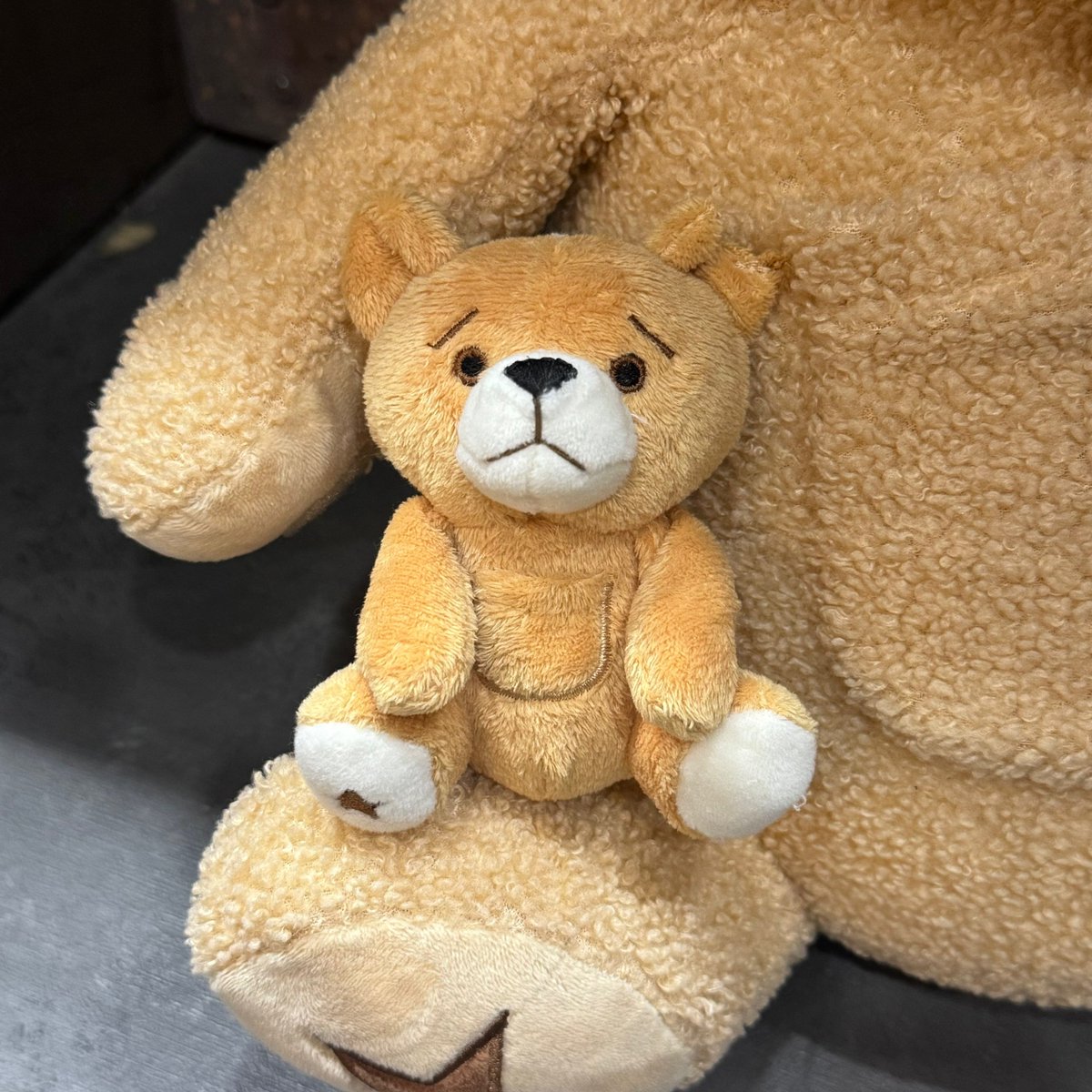 샨☀️ tweet media