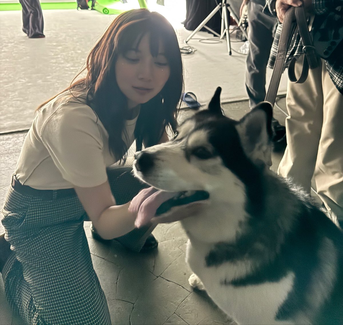 上白石 萌歌 tweet media