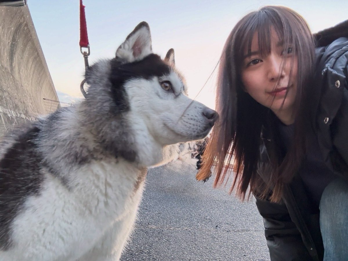 上白石 萌歌 tweet media