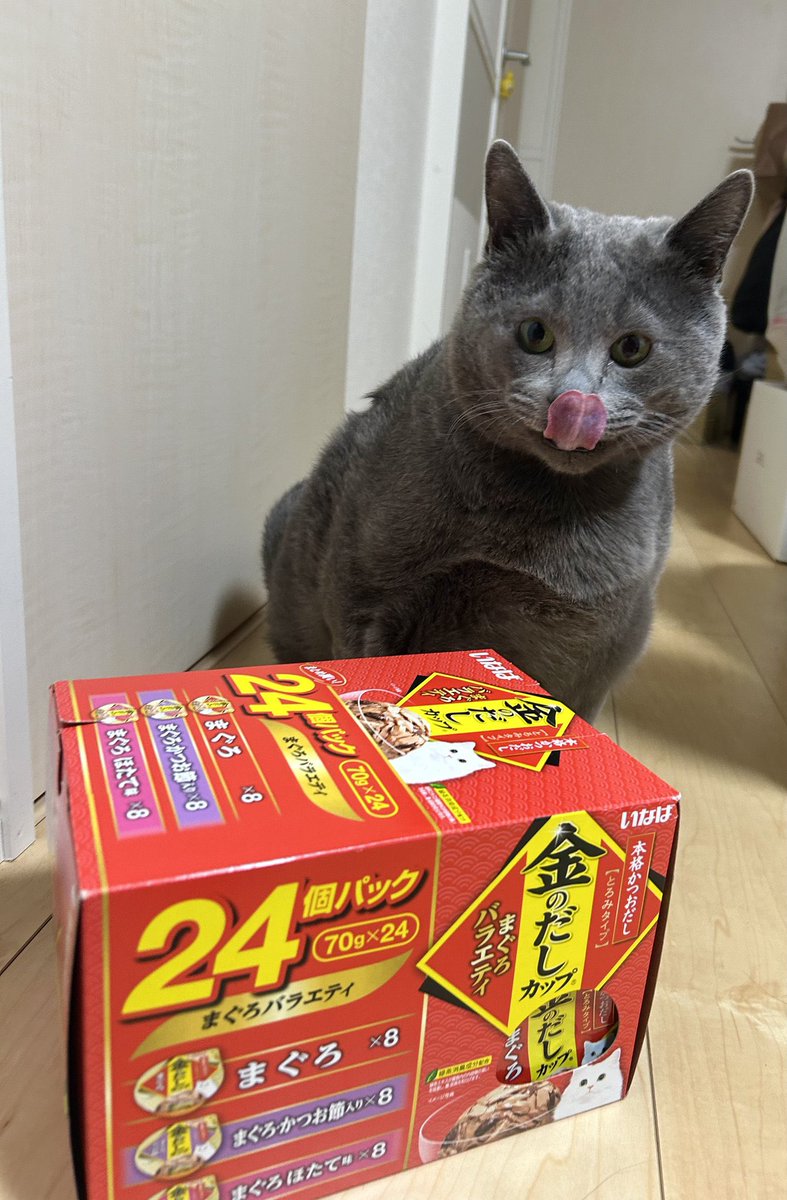 ぽーかー tweet media