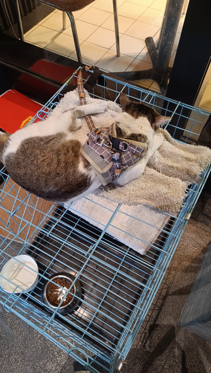 kirz 🎸 tweet media