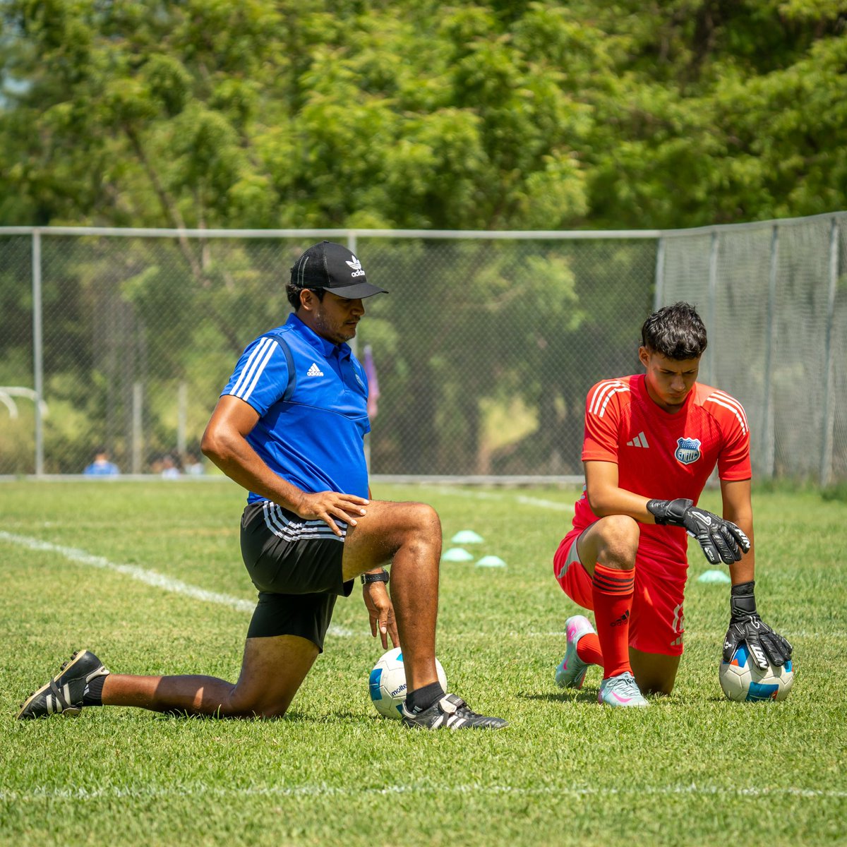 Formativas CSE tweet media