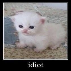 when im trying to make a mii and remember im highkey a talentless fаggοt #FuckMyChudTomodachiLife