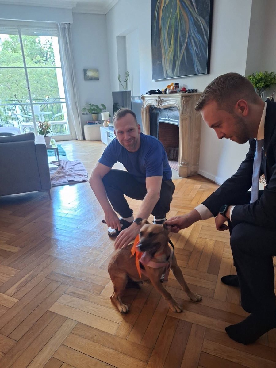 El Campito Refugio tweet media