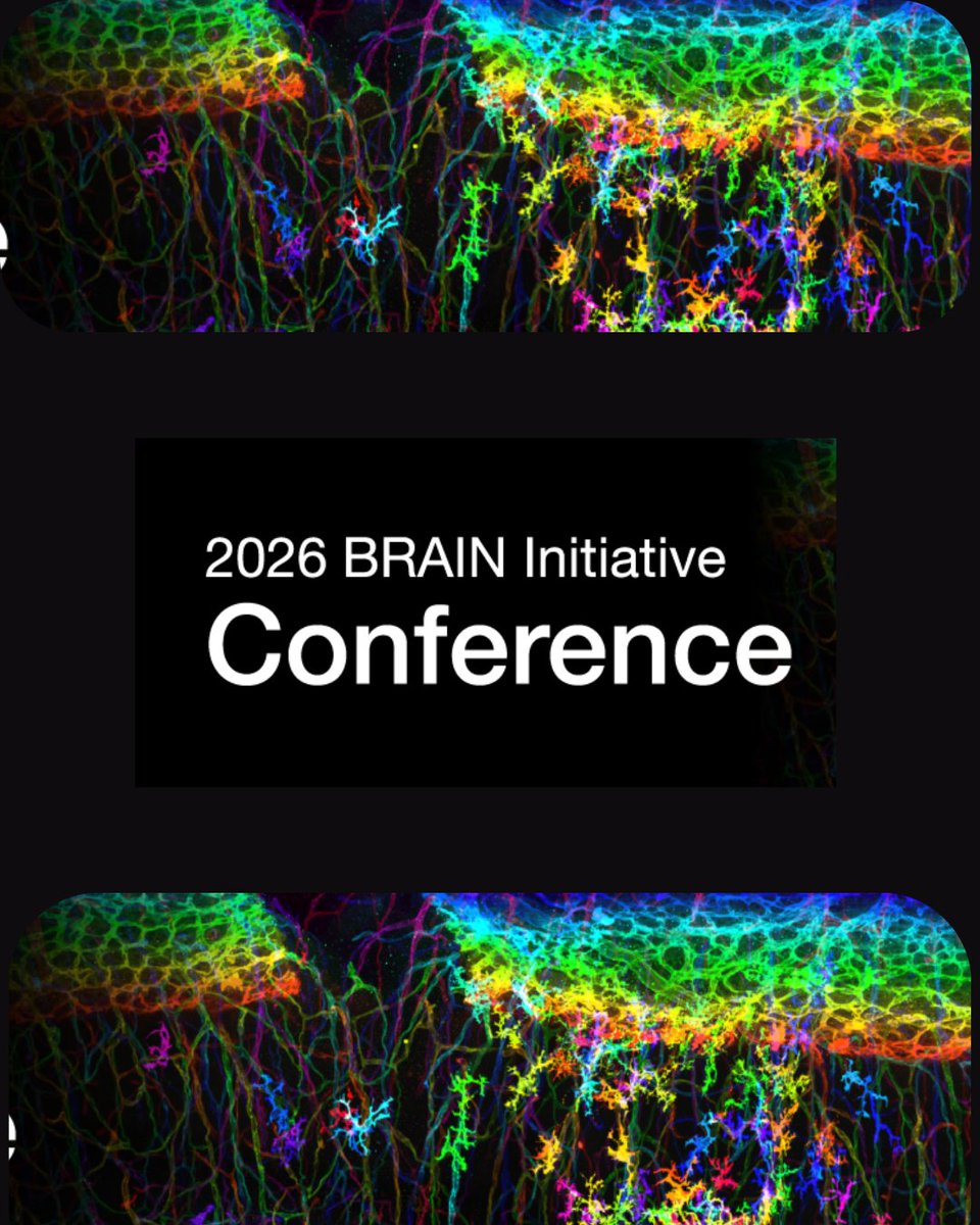 USBrainAlliance tweet media