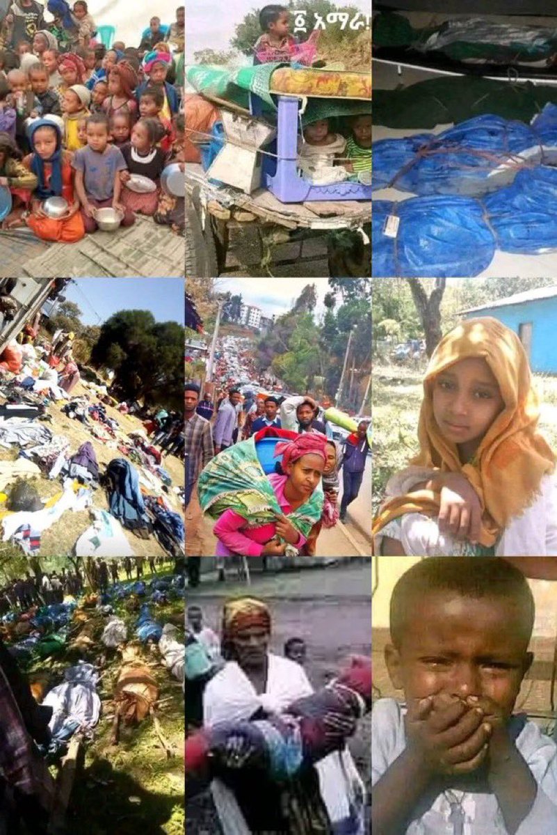 Sociaልዬ🦋🔥💚💛💔 tweet media