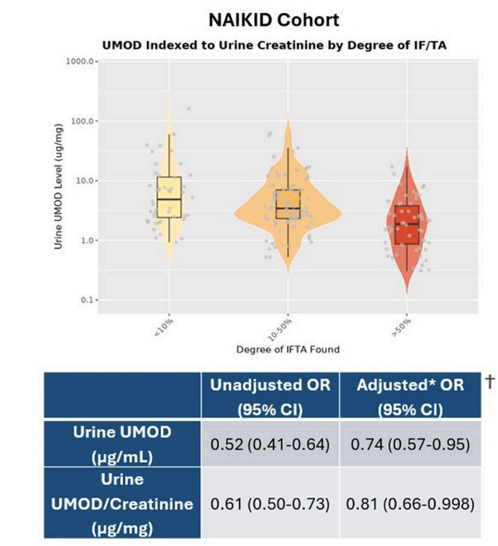 KIReports's tweet image. Low Urine #Uromodulin Levels are Associated With #Interstitial #Fibrosis and #Tubular #Atrophy in Native Kidney #Biopsies

doi.org/10.1016/j.ekir…

#KIRResearchLetter