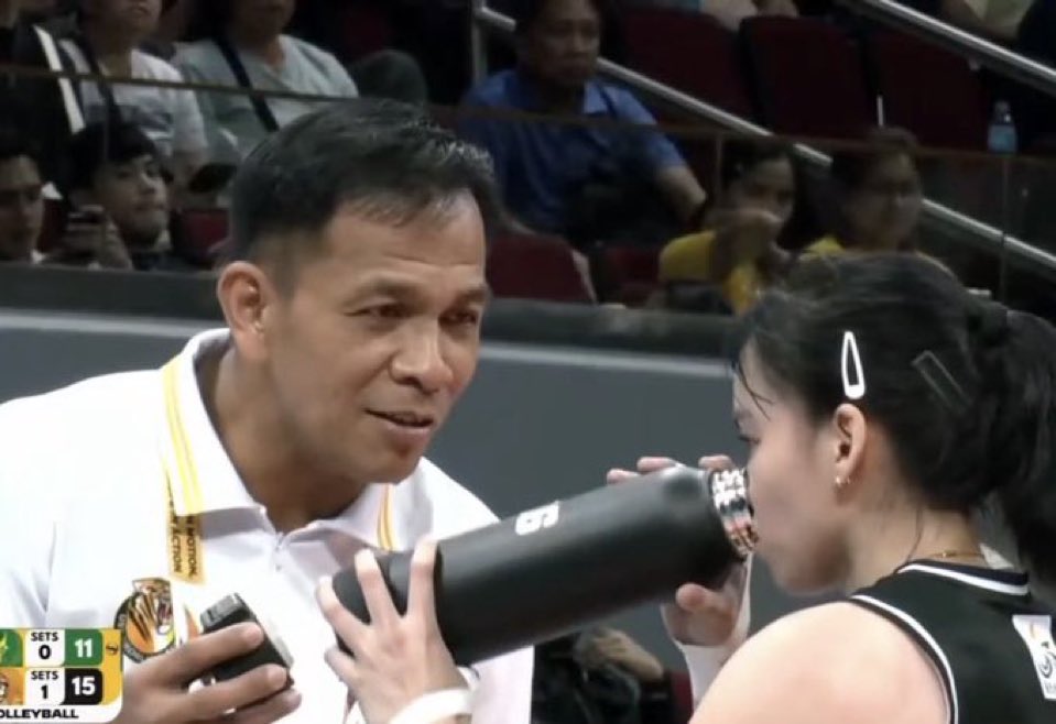 maui 🐯 tweet media