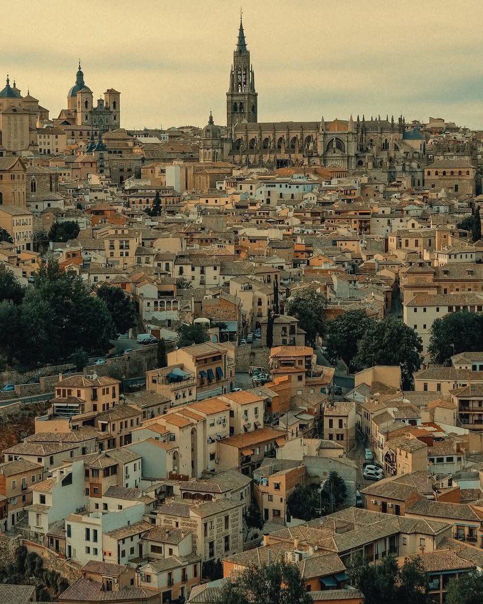 WanderLens tweet media