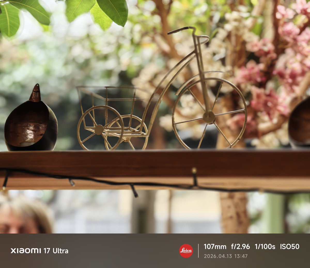 HoBByMoBIGR tweet media